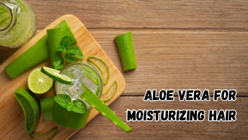Aloe vera for moisturizing hair 