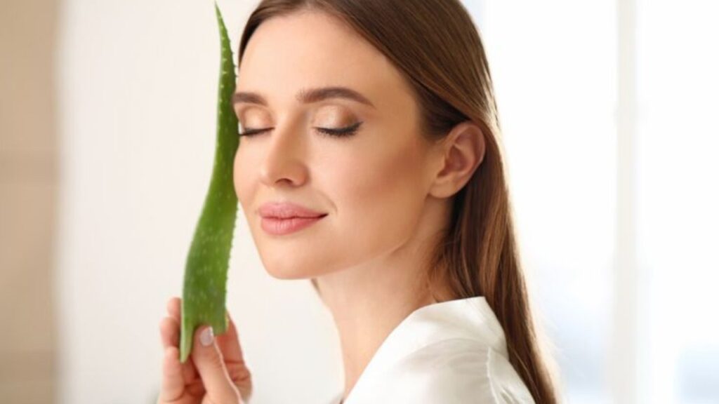 Aloe vera for moisturizing hair