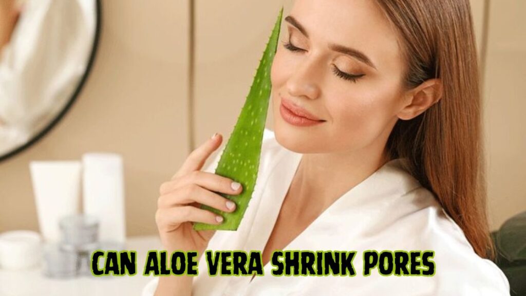 can aloe vera shrink pores