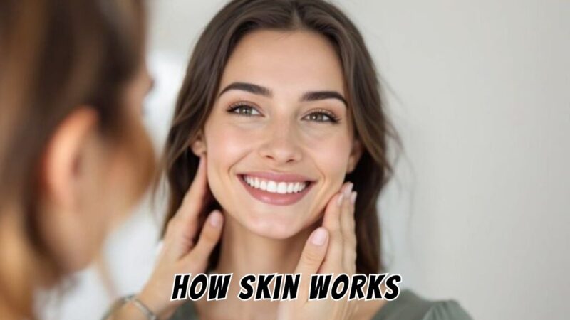 How Skin Works