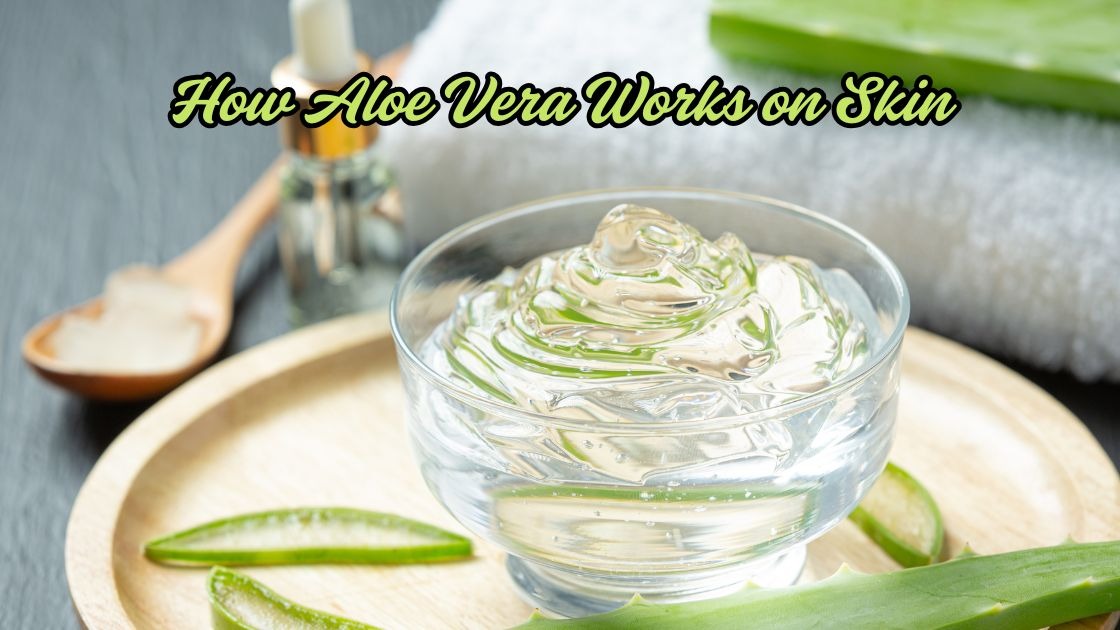 How Aloe Vera Works on Skin