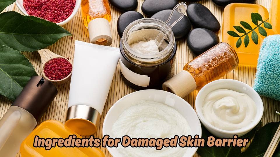 ingredients for damaged skin barrier