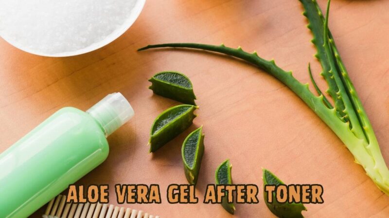 aloe vera gel after toner