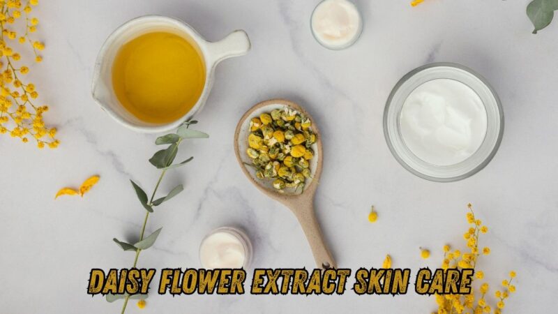 daisy flower extract skin care