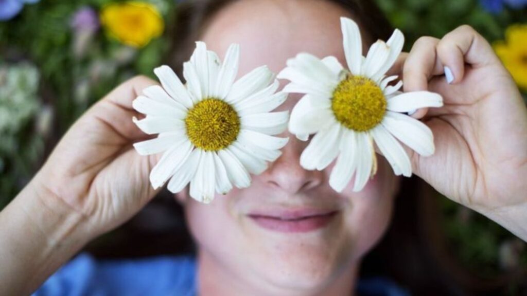 daisy flower extract skin care products