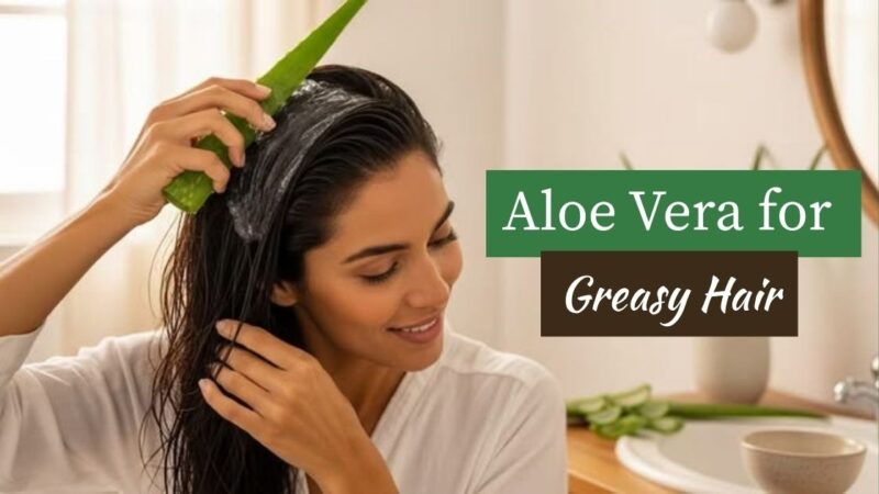 Aloe Vera for Greasy Hair