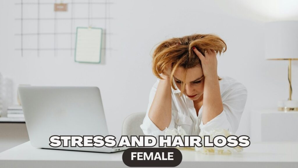 stress and hair loss female